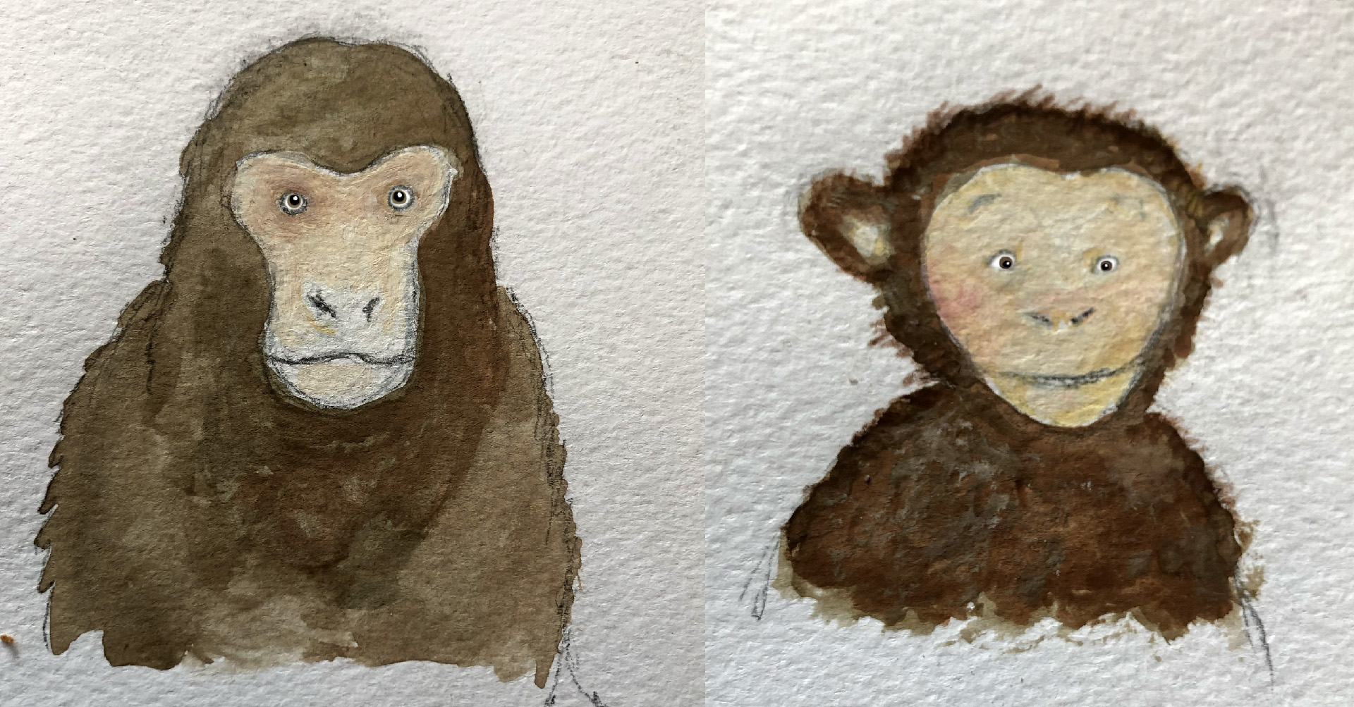 Apan sketches